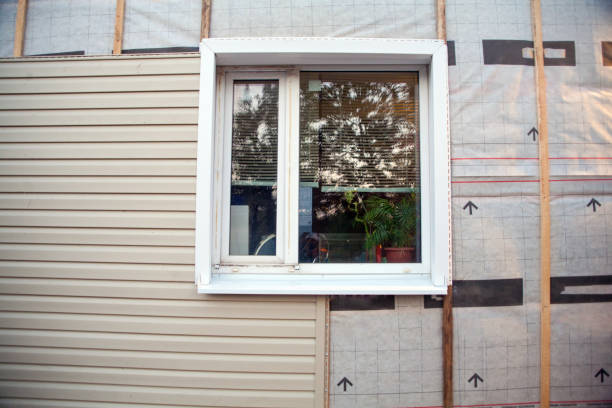 Best Custom Siding Design  in Hydesville, CA