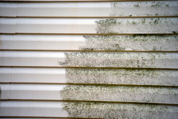 Best Wood Siding Installation  in Hydesville, CA