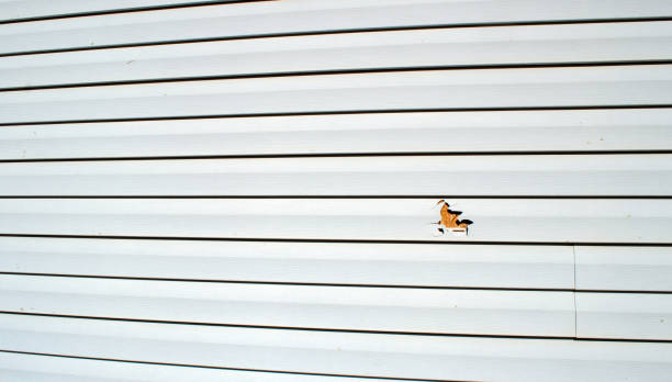 Best Custom Trim and Detailing for Siding  in Hydesville, CA