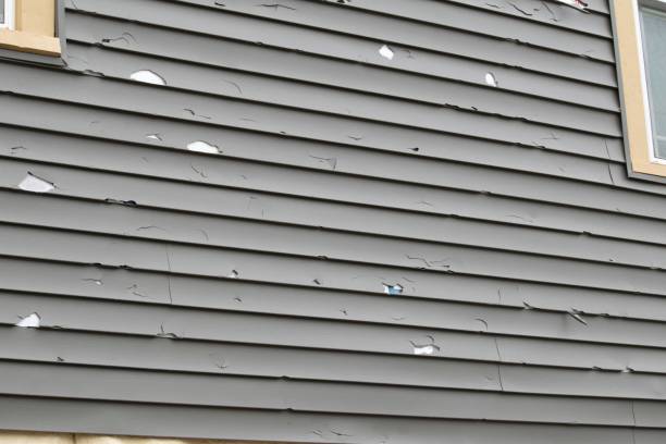 Best Siding Removal and Disposal  in Hydesville, CA