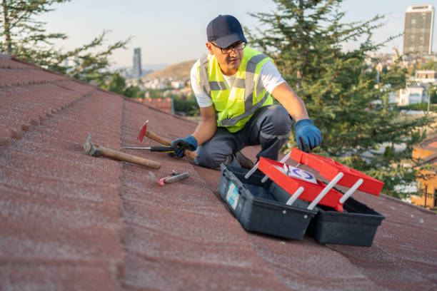 Best Siding for New Construction  in Hydesville, CA